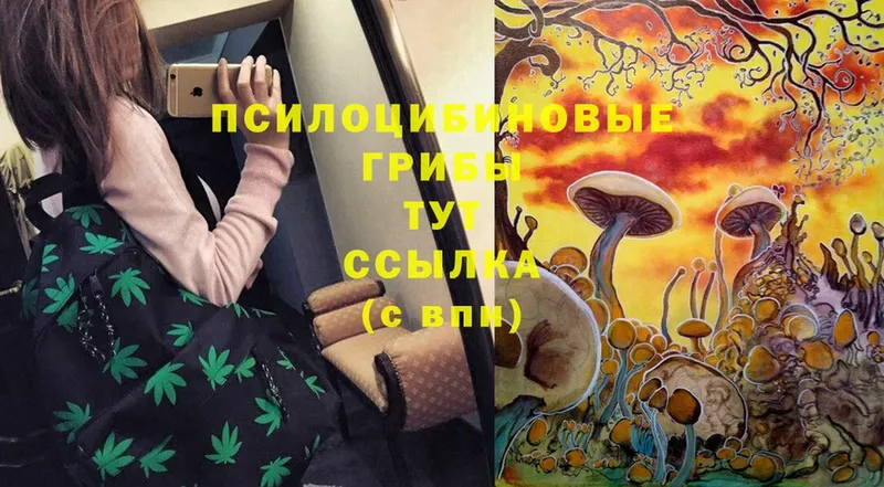 Псилоцибиновые грибы Psilocybine cubensis  магазин  наркотиков  кракен вход  Вязьма 